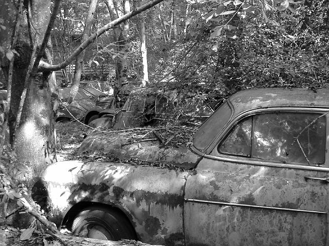 Autofriedhof - 195.JPG - Historischer Autofriedhof,    Gürbetal (CH)
